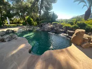 A pool with rocks and trees in the background.