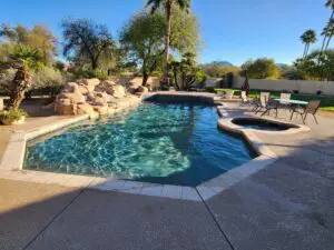 A pool with a large rock wall and a palm tree.