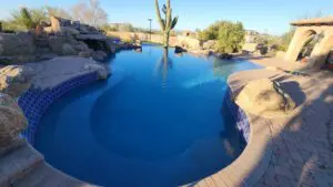 A pool with a cactus in the middle of it