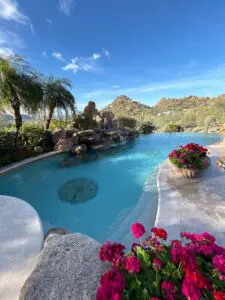 A pool with flowers and plants in the middle of it.